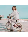 Luxe Kinderfiets 14 inch - 3 in 1 - Loopfiets