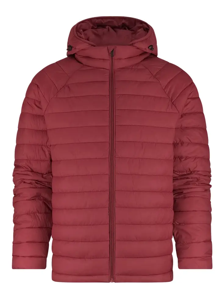 Delfaro - Jas heren - Human Nature