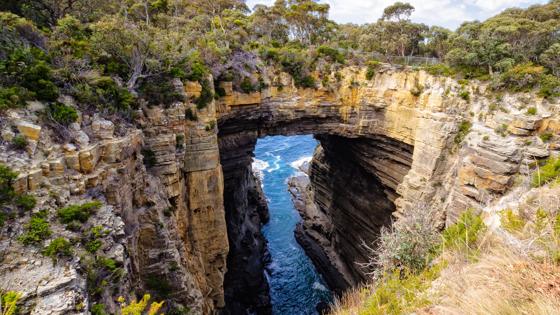 australie_tasmanie_eaglehawk-neck_rotsbrug_water_adobestock