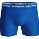 Heren 12-Pack Boxers Mix Björn Borg