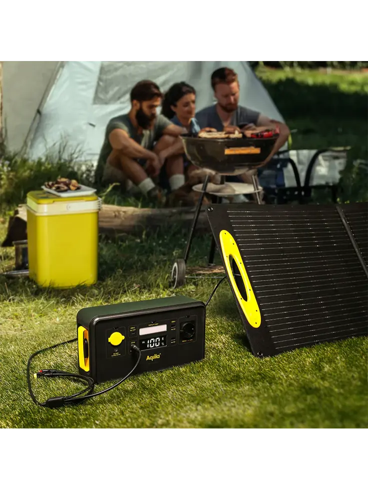 Zonnepaneel Sunbird P100 - 100W
