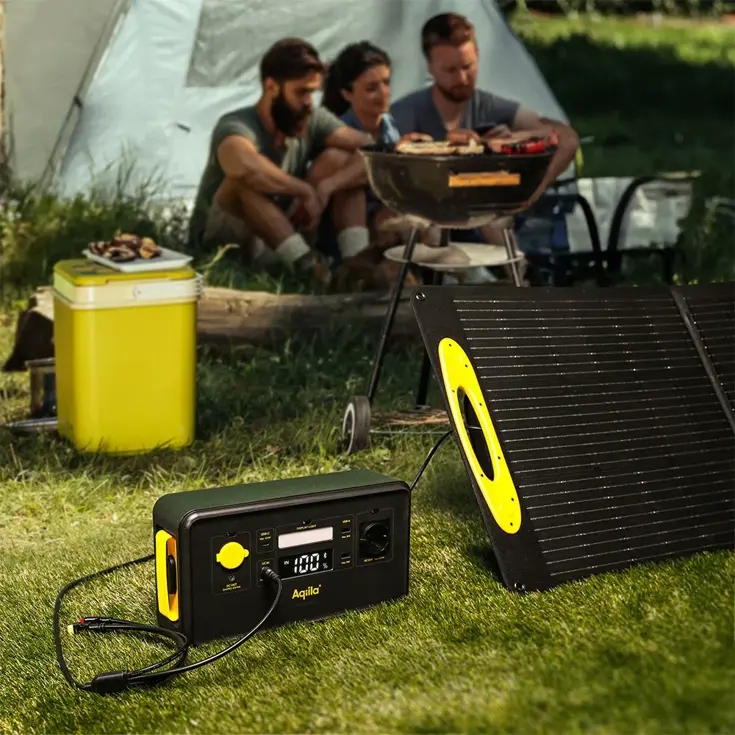 Zonnepaneel Sunbird P100 - 100W