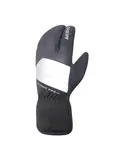 Alaska Pro Handschoenen