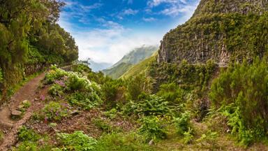 Beautiful landscape on the Island Madeira with path near the "Levada" to the waterfall