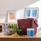 Brisby - Koelbox - 22L