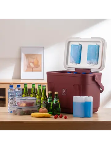 Koelbox - Lunchbox - 22L