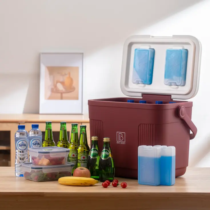 Koelbox - Lunchbox - 22L