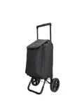Shop&Go - Boodschappenkar - Opvouwbaar - 40L