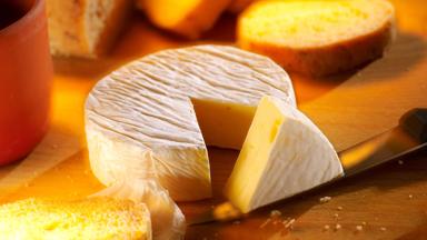 algemeen_franse-kaas_brie_shutterstock-1924814