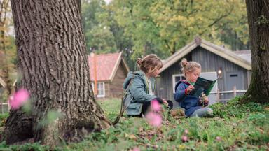 Hotel_Nederland_Kaastsheuvel_Efteling_Loonscheland_Boshut_7_h