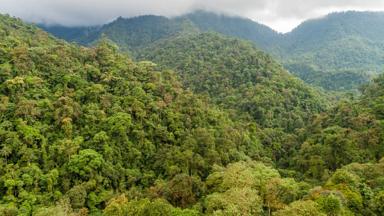 ecuador_andes_pichincha_mindo_regenwoud_shutterstock_366014258_jpg