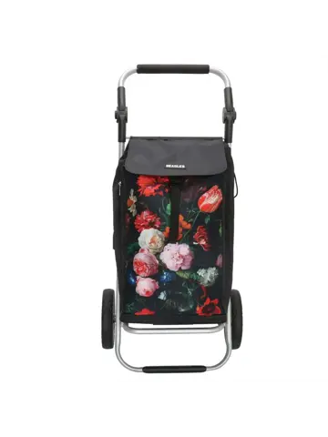 Alberic - Boodschappenkar - Koelvak - 42L