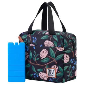 Brisby - Koeltas - Lunchtas 4 Liter