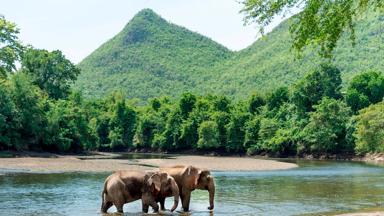 thailand_kanchanaburi_elephants-world_olifant_rivier_a