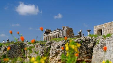 marokko_fez-meknes_volubilis_romeinse-ruine_shutterstock-1088860967