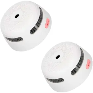 XS01 Rookmelder 2-pack