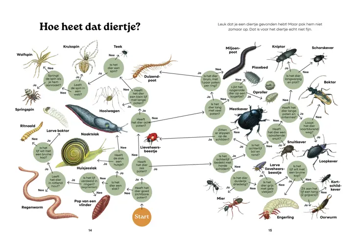 Het hele jaar door op stap