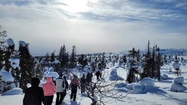 fins_lapland_wandeling_groep