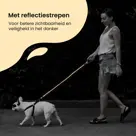 Reflecterende Hondenriem 3m