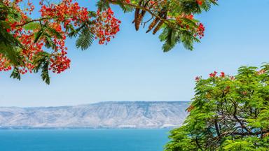 israel_noord_meer-van-tiberias_2_b.jpg