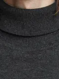 Heren Emil Knit Roll Neck