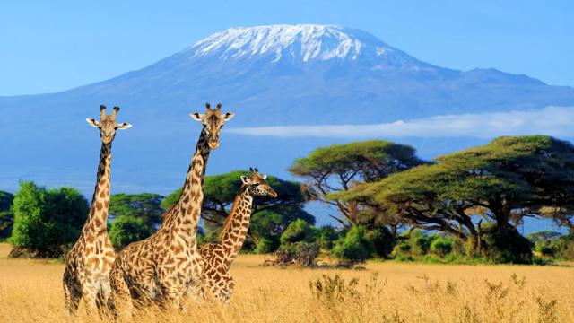  Kenia Safari Und Baden 2020  thumbnail