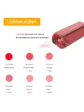 Achterlicht fiets met smart remlicht 60 Lumen