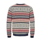 Hilbert - Trui Heren