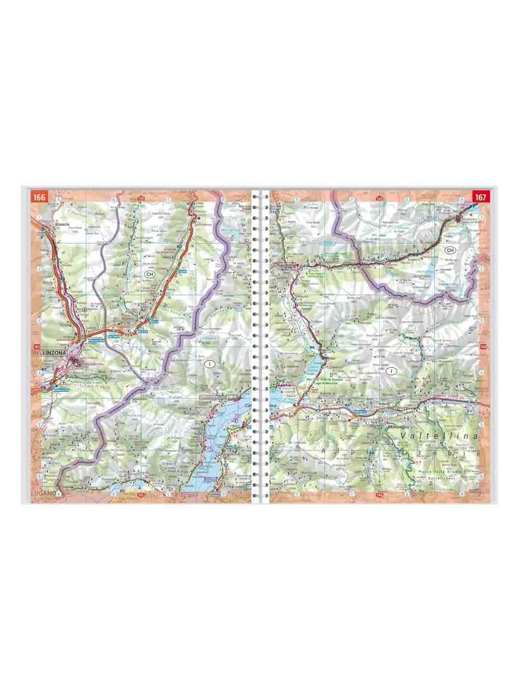 Wegenatlas Alpen