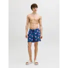 Vibes Novelty AOP - Heren - Zwembroek