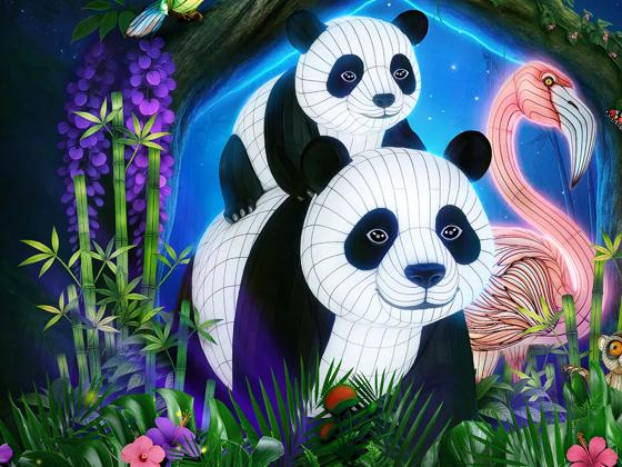 Impressie van Ouwehands Dierenpark - Light Nights