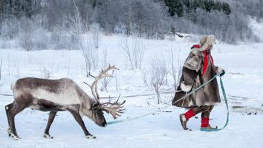 noorwegen_noord-noorwegen_tromso_rendier-sami_jKonrad-Konieczny_www.nordnorge.com