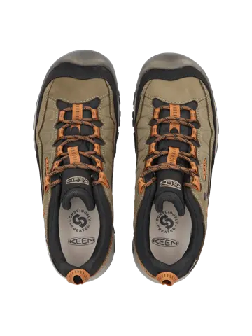 Targhee IV - Wandelschoenen - Heren