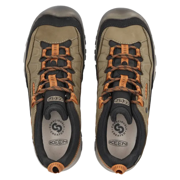 Targhee IV - Wandelschoenen - Heren