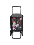 Shop&Go - Boodschappenkar - Opvouwbaar - 40L