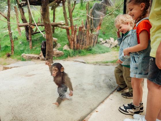 Impressie van DierenPark Amersfoort