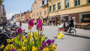 fox_zweden_uppsala_straat-fietsen_j_tina_axelsson