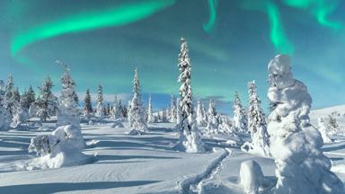 Finland, Lapland, Levi, noorderlicht - GettyImages-1251540099