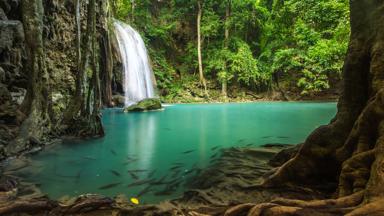 thailand_kanchanaburi_erawan_watervallen_vis_b