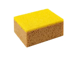 Multifunctionele was- en insectenspons auto