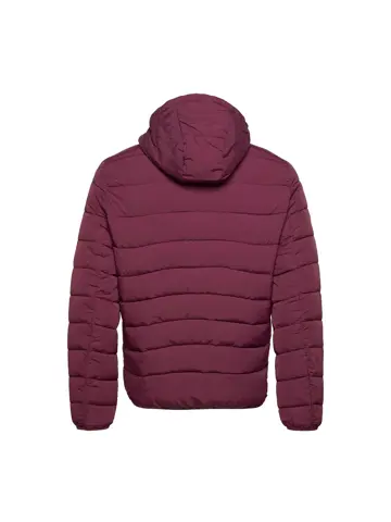 Heren Lightweight Padded Jacket