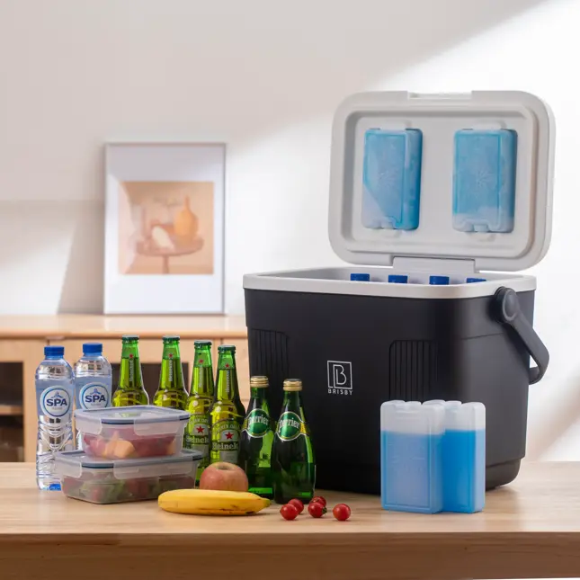 Koelbox - Lunchbox - 22L