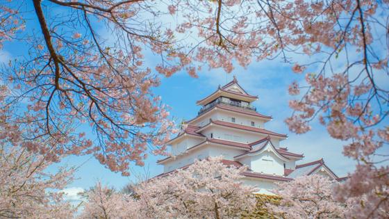 Dit beeld mag alleen gebruikt worden voor en door de business line Reizen. Binnen Reizen mag dit beeld online gebruikt worden en in print tot een oplage van maximaal 500.000.