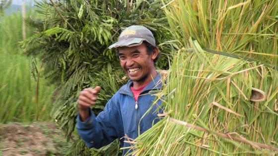 indonesie_algemeen_local_man_boer_rijst_mooi-beeld_w.jpg