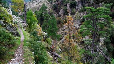 frankrijk_corsica_tavignano-kloof_bergen-natuur_getty