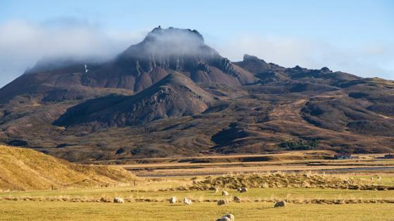 Dit beeld mag alleen gebruikt worden voor en door de business line Reizen. Binnen Reizen mag dit beeld online gebruikt worden en in print tot een oplage van maximaal 500.000.