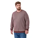 Pedro - Trui Heren - Plus Size