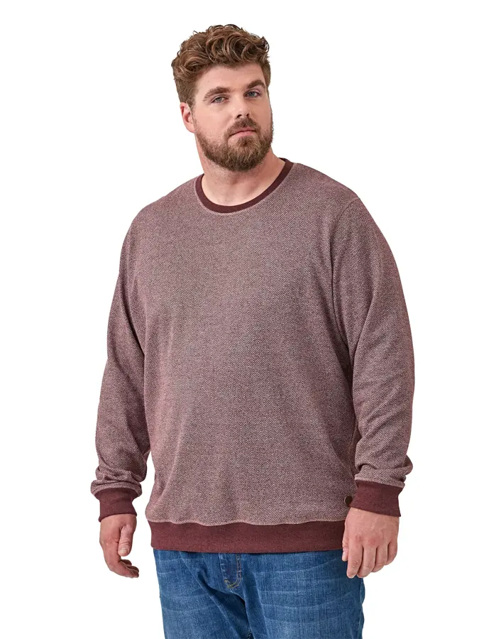 Pedro - Trui Heren - Plus Size