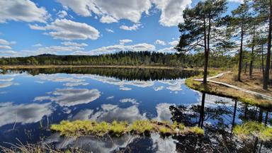 Zweden_MiddenZweden_Safsen_omgeving_meer_Fredriksberg_h