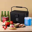 Brisby Koelbox - 12L - Handvat